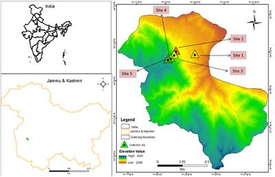 Altitudinal gradient drives significant changes in soil physico-chemical and eco-physiological properties of Rhododendron anthopogon: a case study from Himalaya